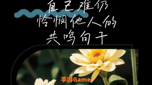 特殊的怜悯