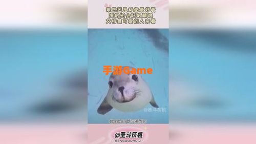 什么动物不会眨眼睛