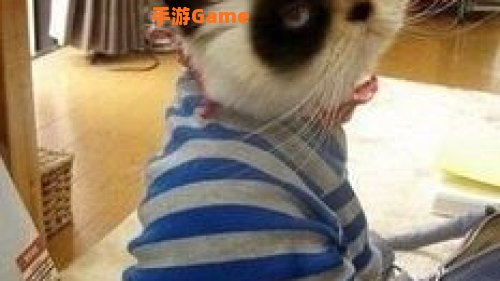什么动物不会眨眼睛