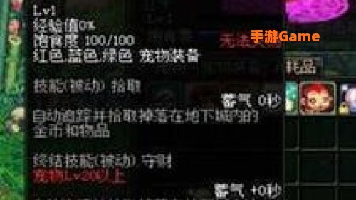 dnf亚米