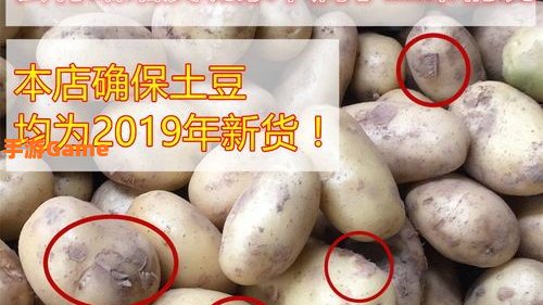 挖土豆