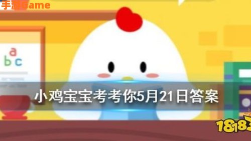 小鸡宝宝考考你今天的答案是什么