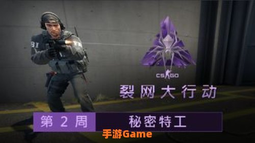 裂网大行动