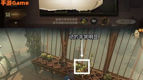 在这里你时常能见到赫奇帕奇